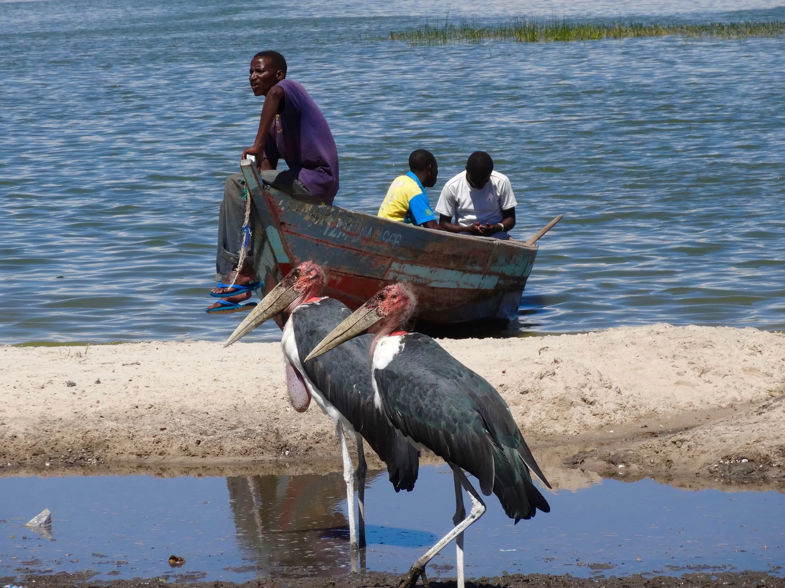Voyage-sur-mesure-afrique (5).jpg