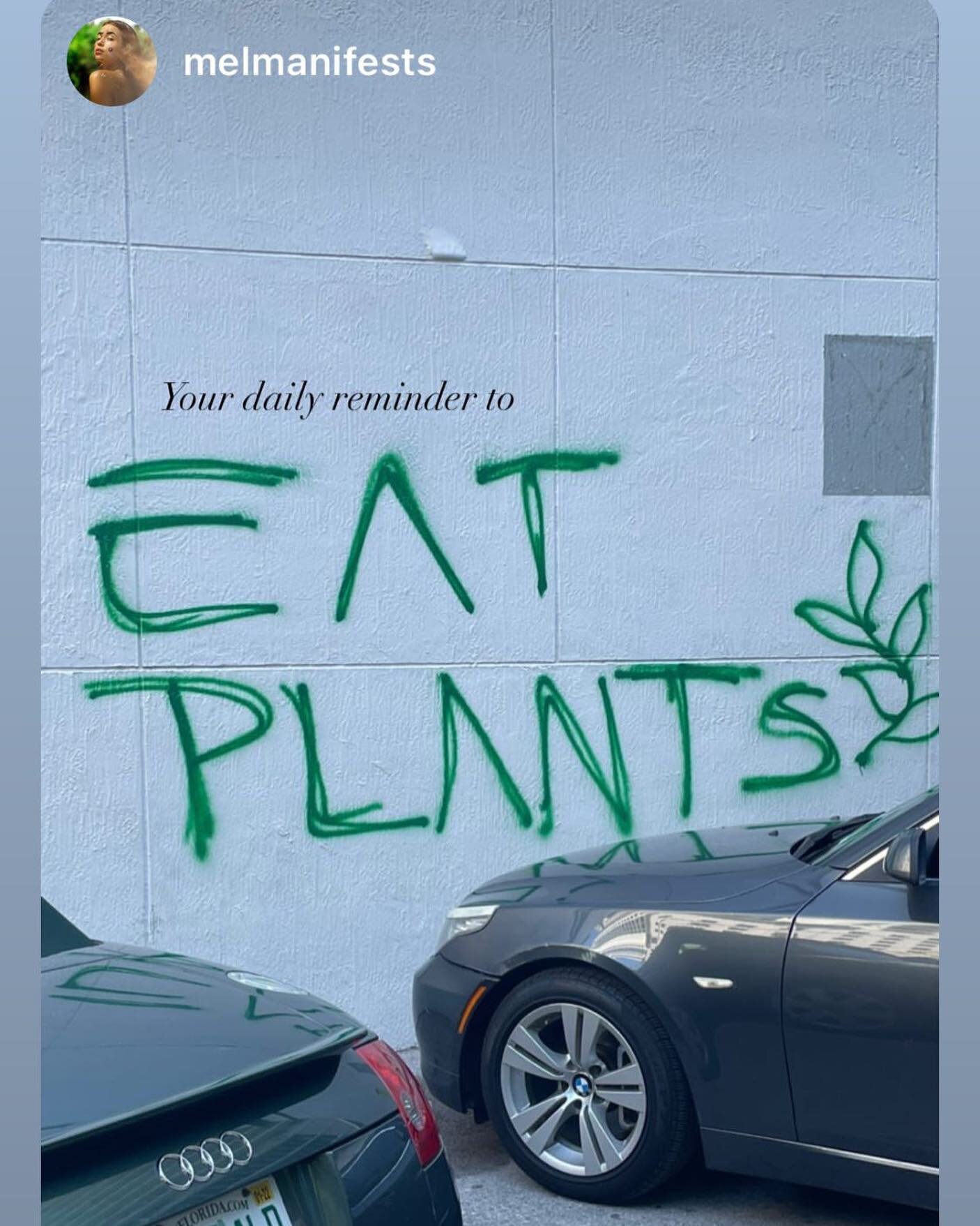 if you see it in the city, 
capture the vibes 
I heard its spreading like the rona 🍃😂⚡️

@eatplants.444 💚 
📸: @melmanifests 🌟💚🌟