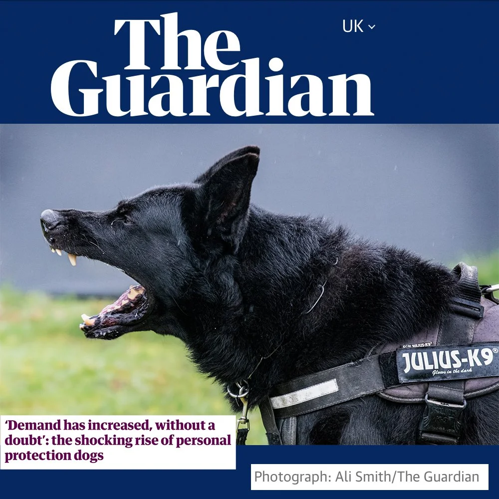 GuardianSecurityDog copy.jpg