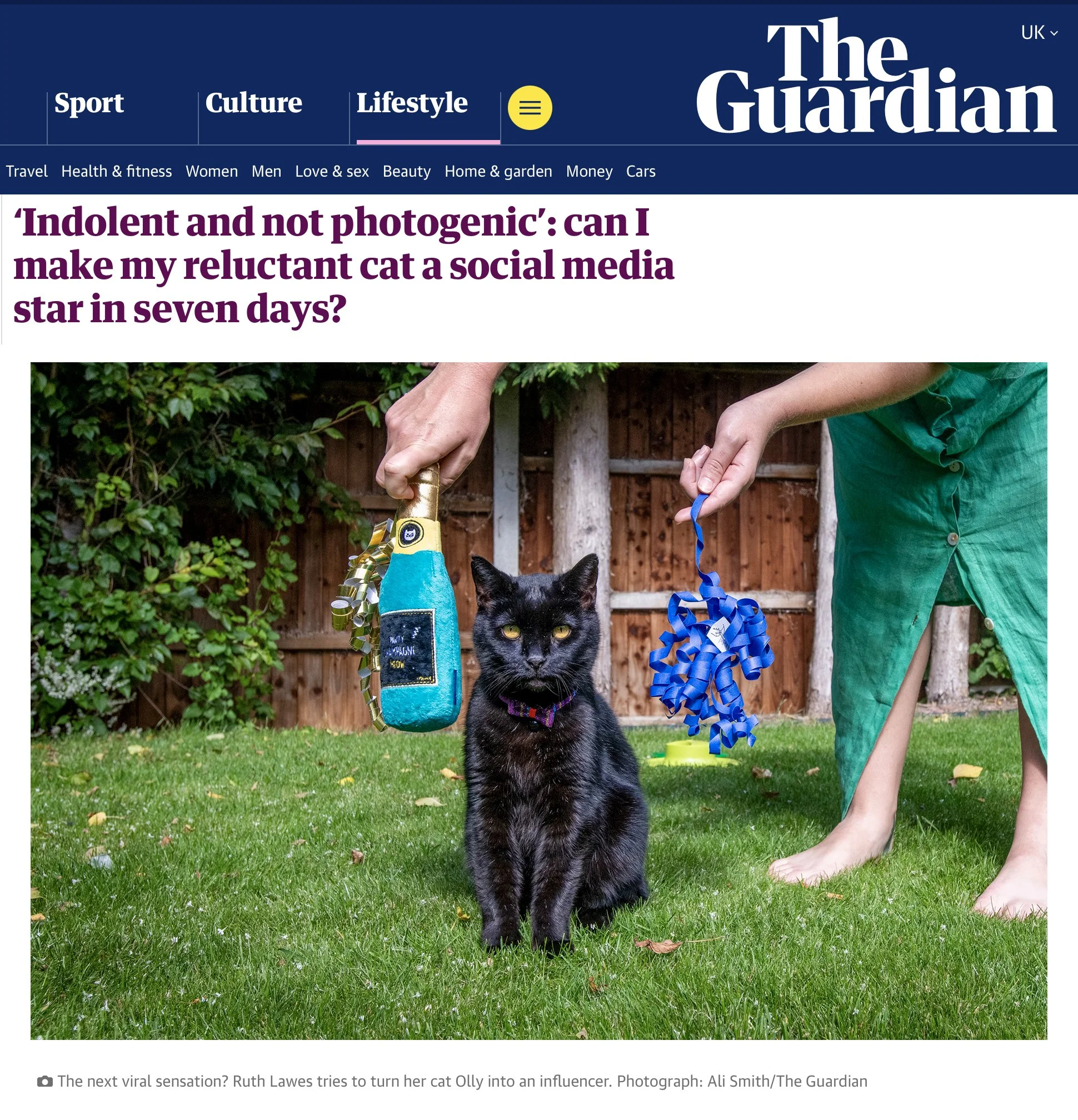AS_GuardianCatInfluencer.jpg