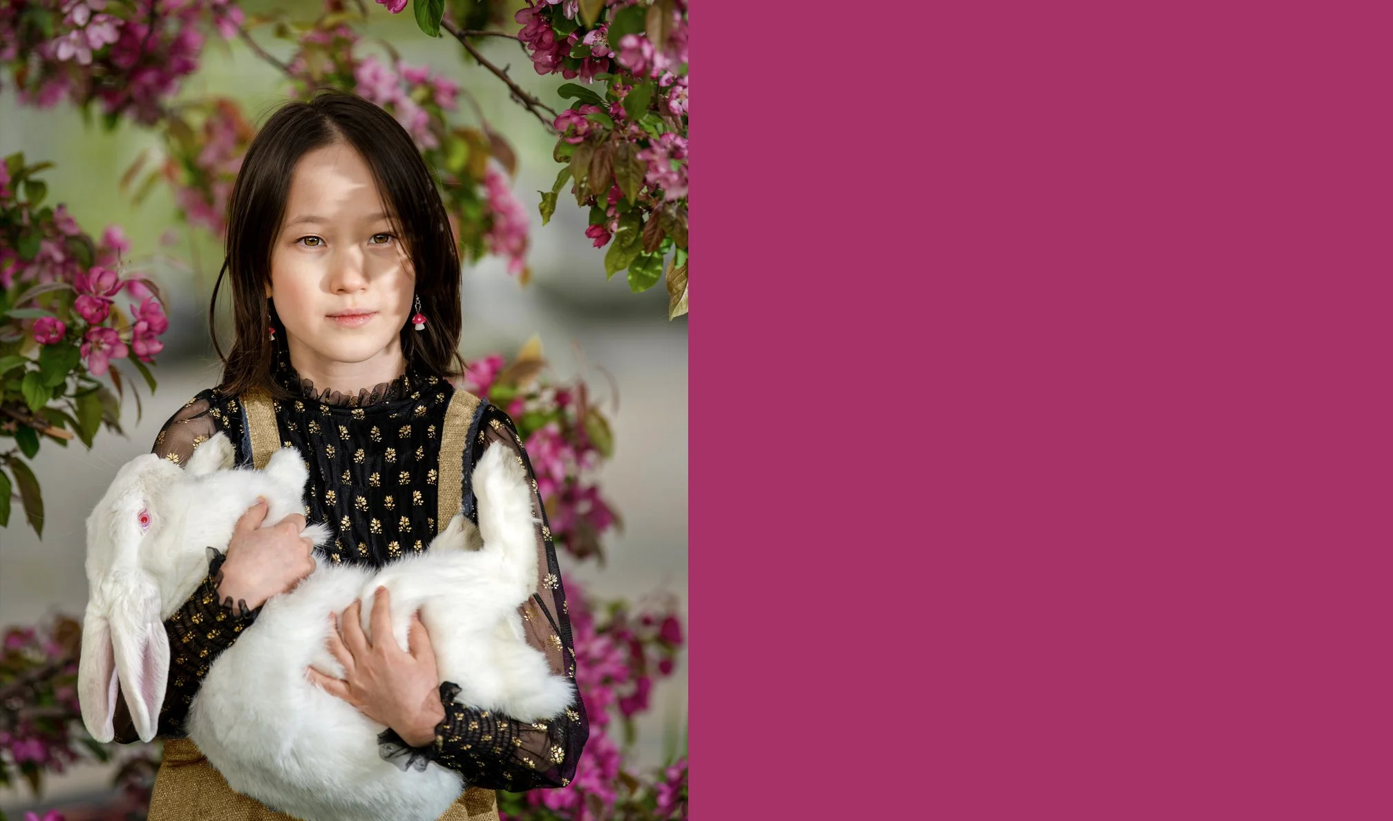 homepage-rabbit-B.jpg