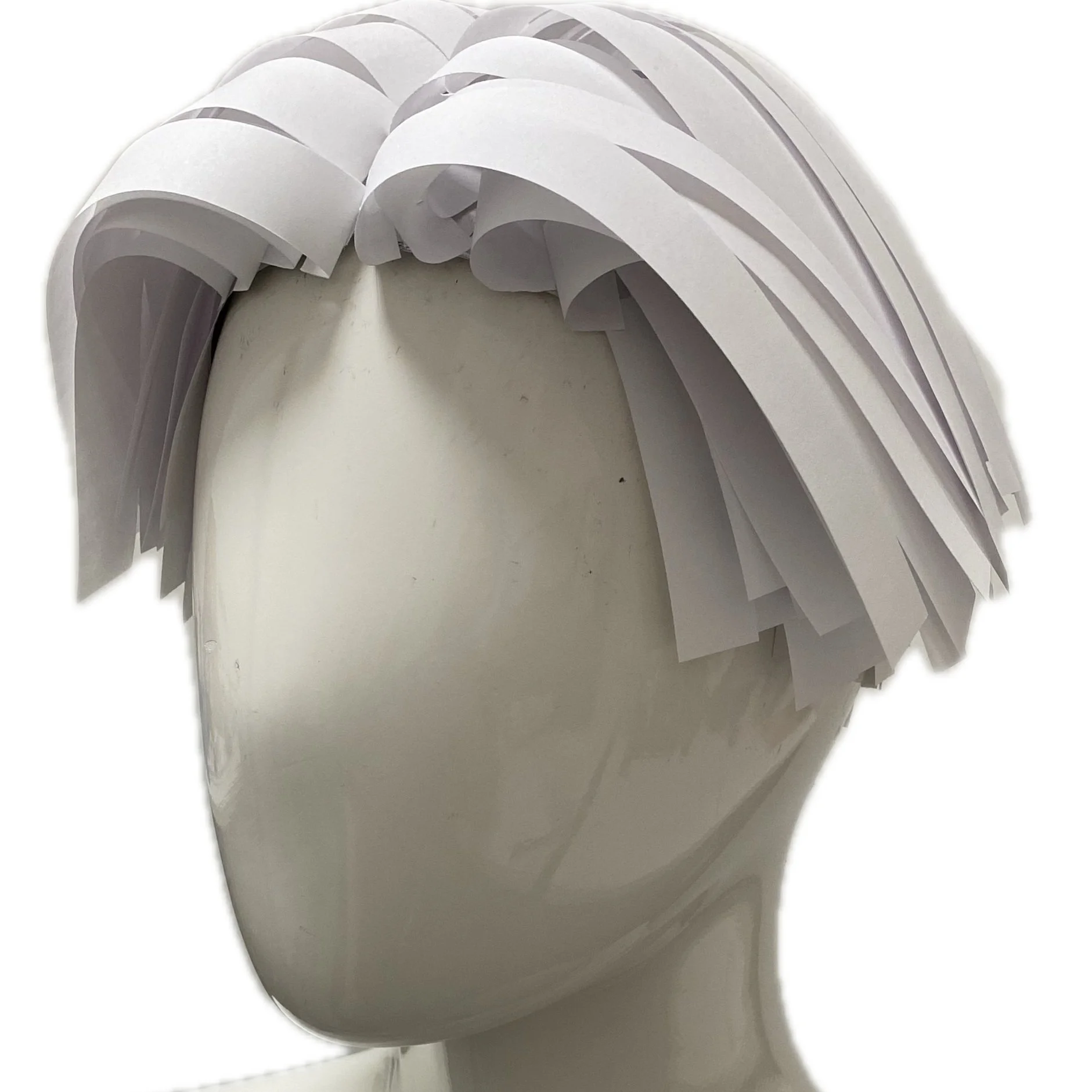 Paper Wig