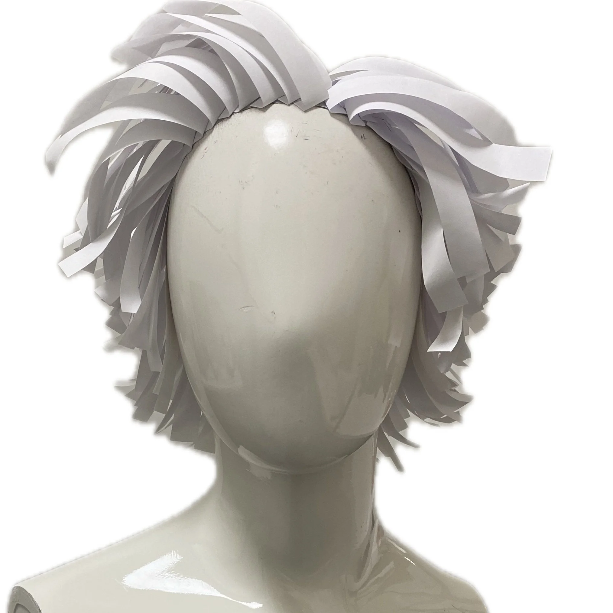 Paper Wig