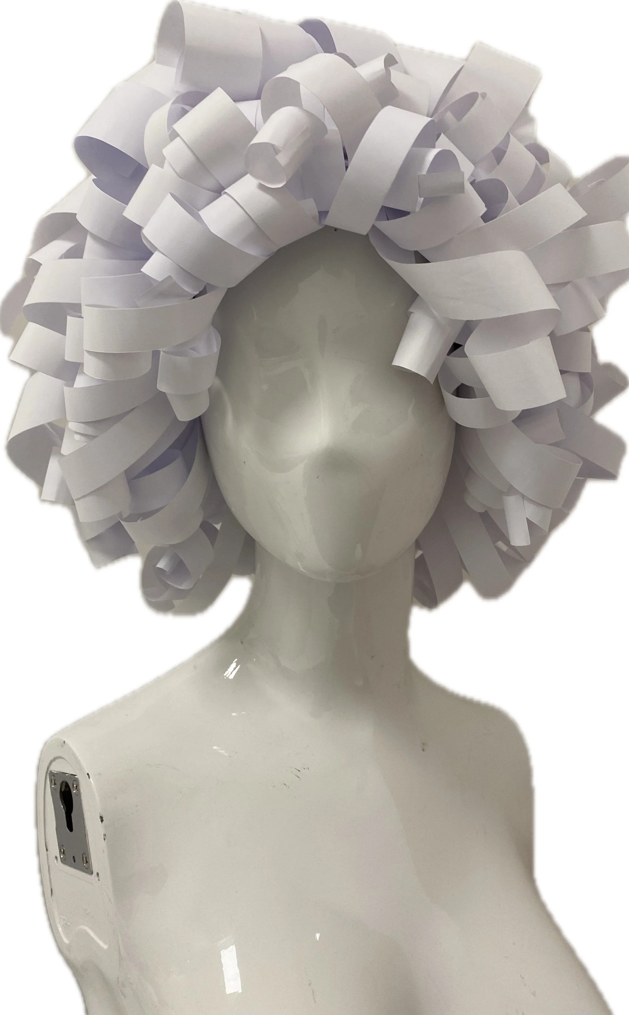 Paper Wig