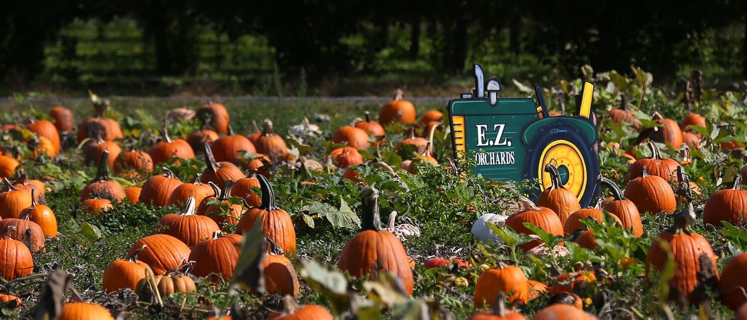 E.Z. Orchards Green Tractor sign.jpg