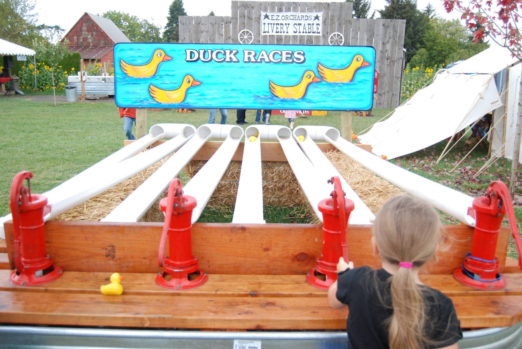 Duck races front on photo.jpg