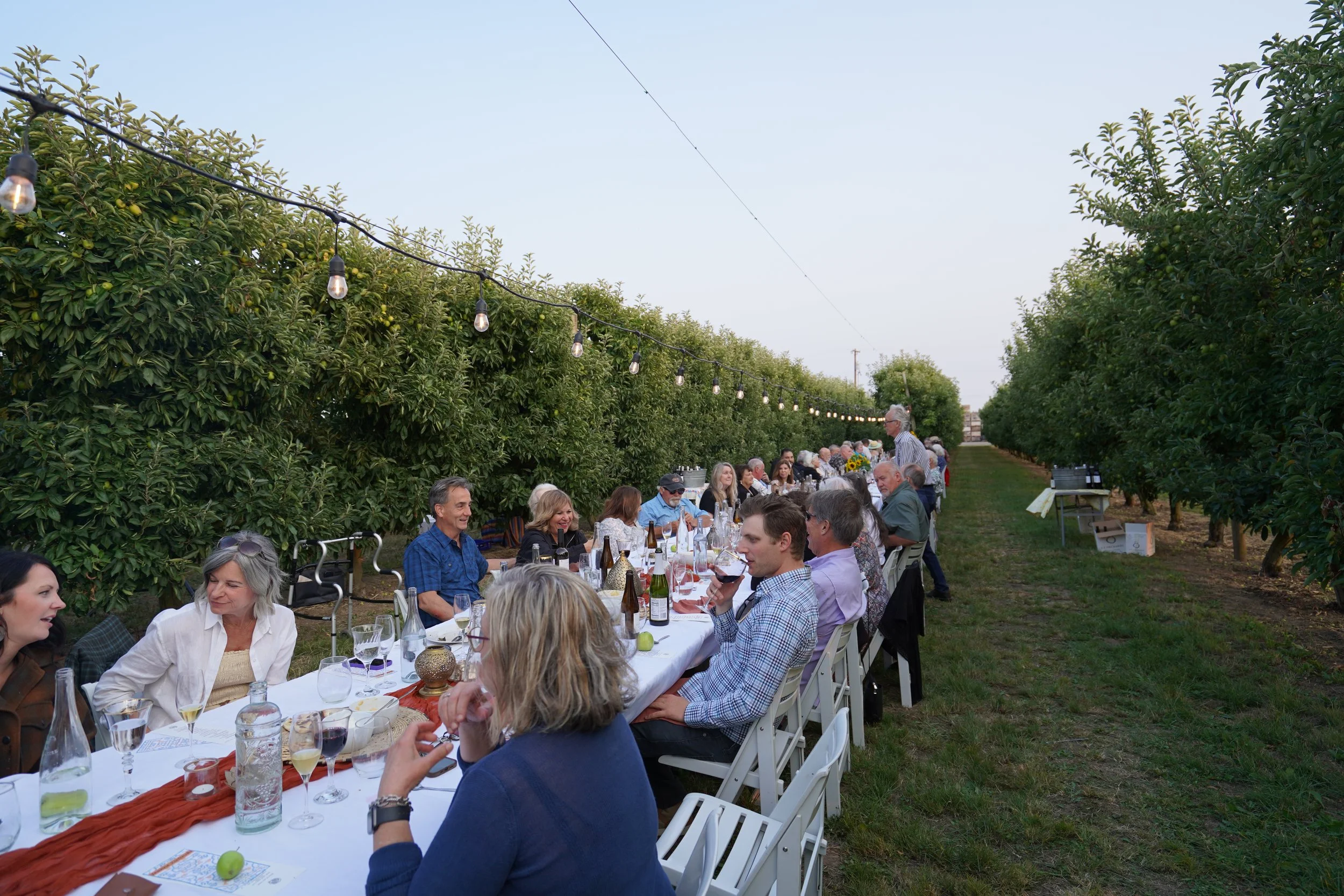 DSC01851.JPG