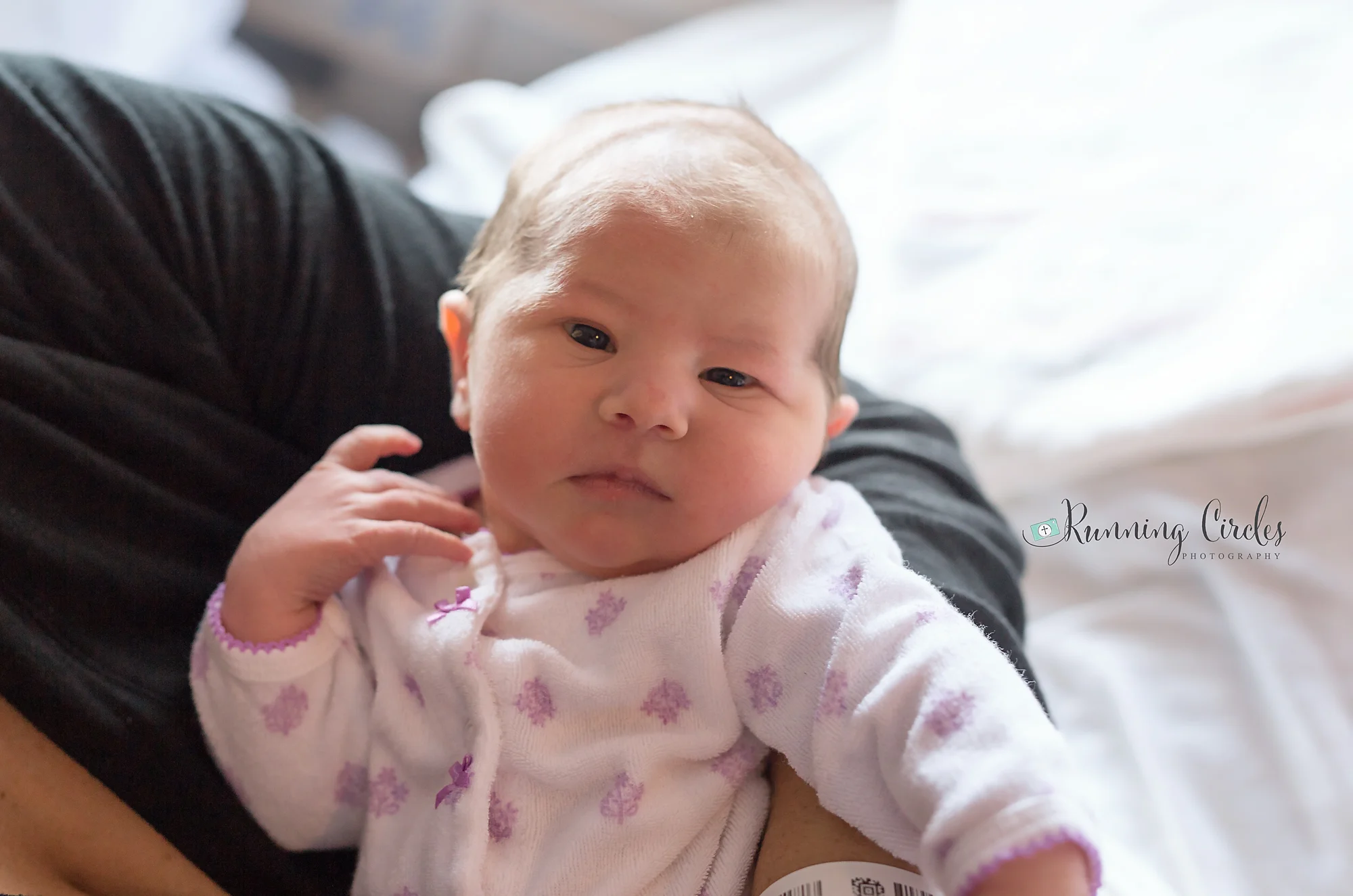 Tampa_newborn.jpg