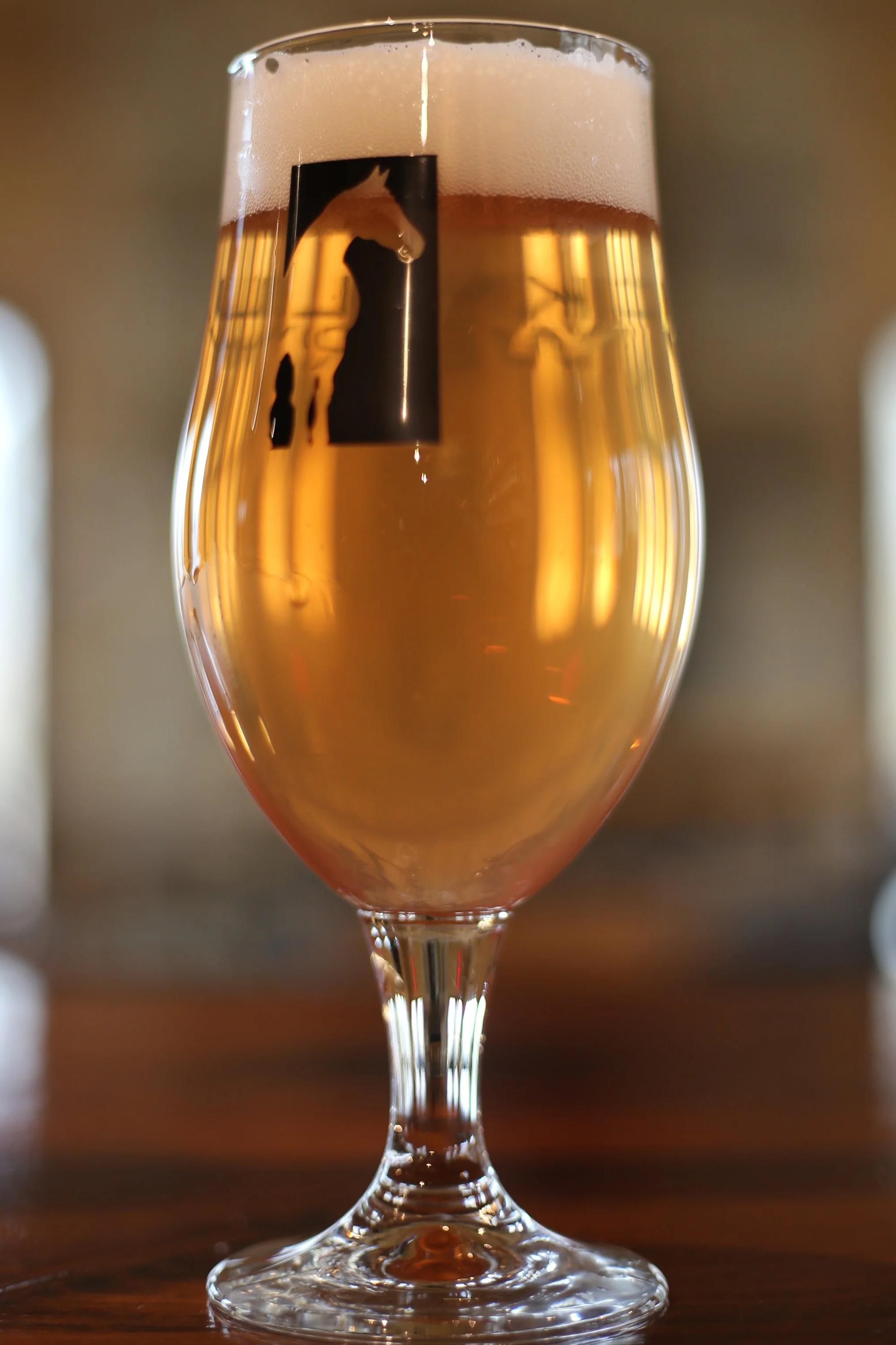 Blackberry Cider