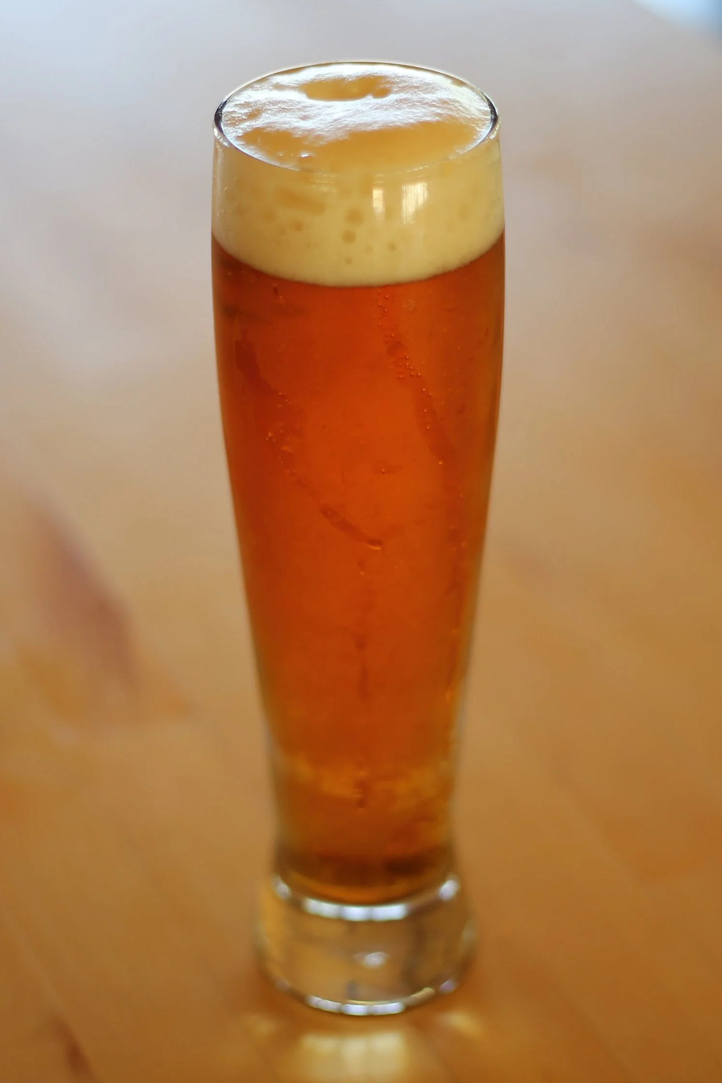 Festbier