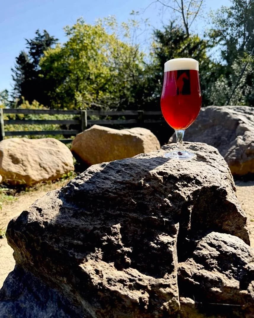 Midnight Mass is back!

A Belgian Noel brewed with herbs grown on the Rockmill property. Floral aromas, ripe red stone fruits, and warming spices pair with a slight malty sweetness and classic Belgian style flair.

Get it before it&rsquo;s gone!