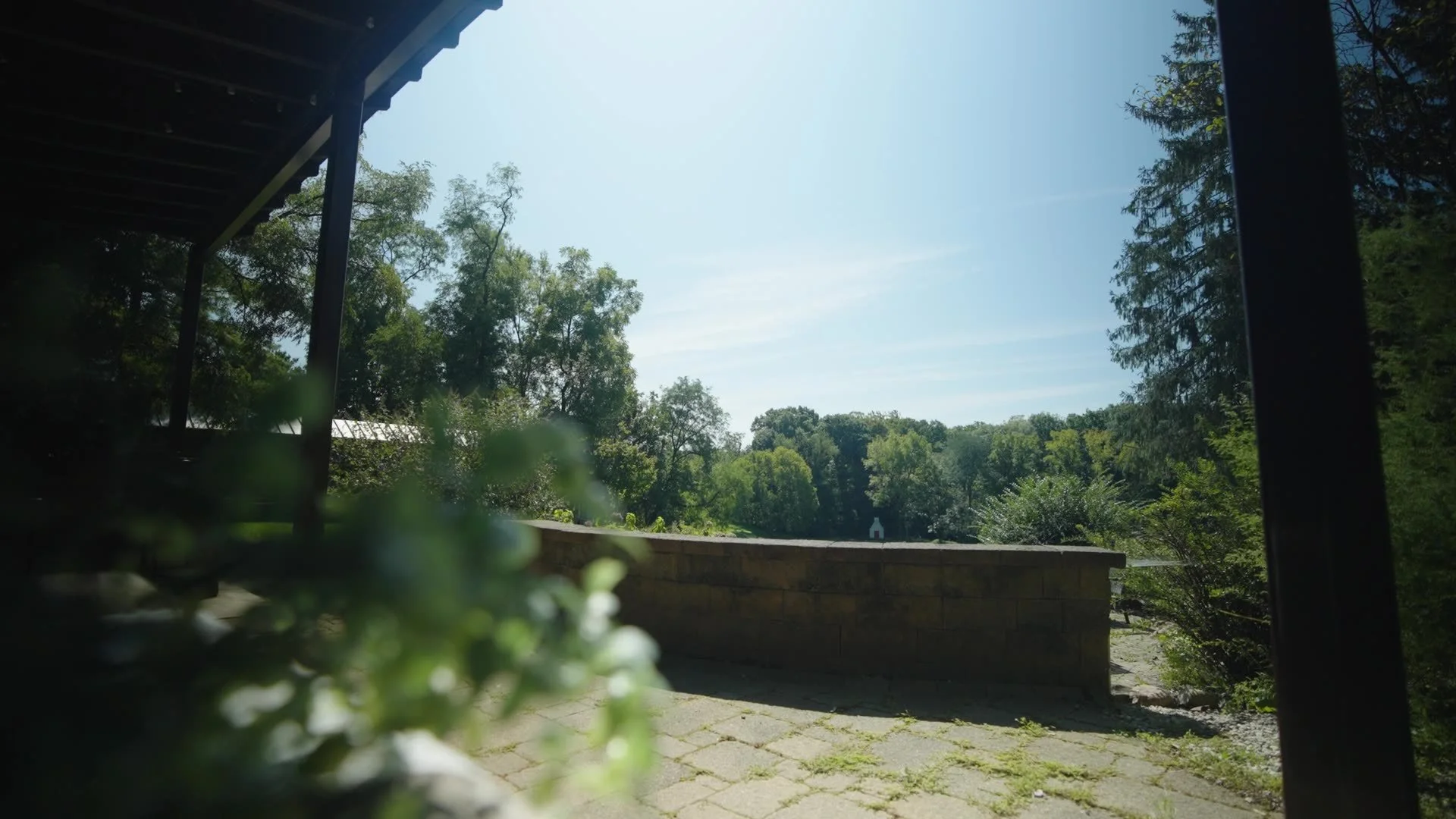 frame_692.jpg