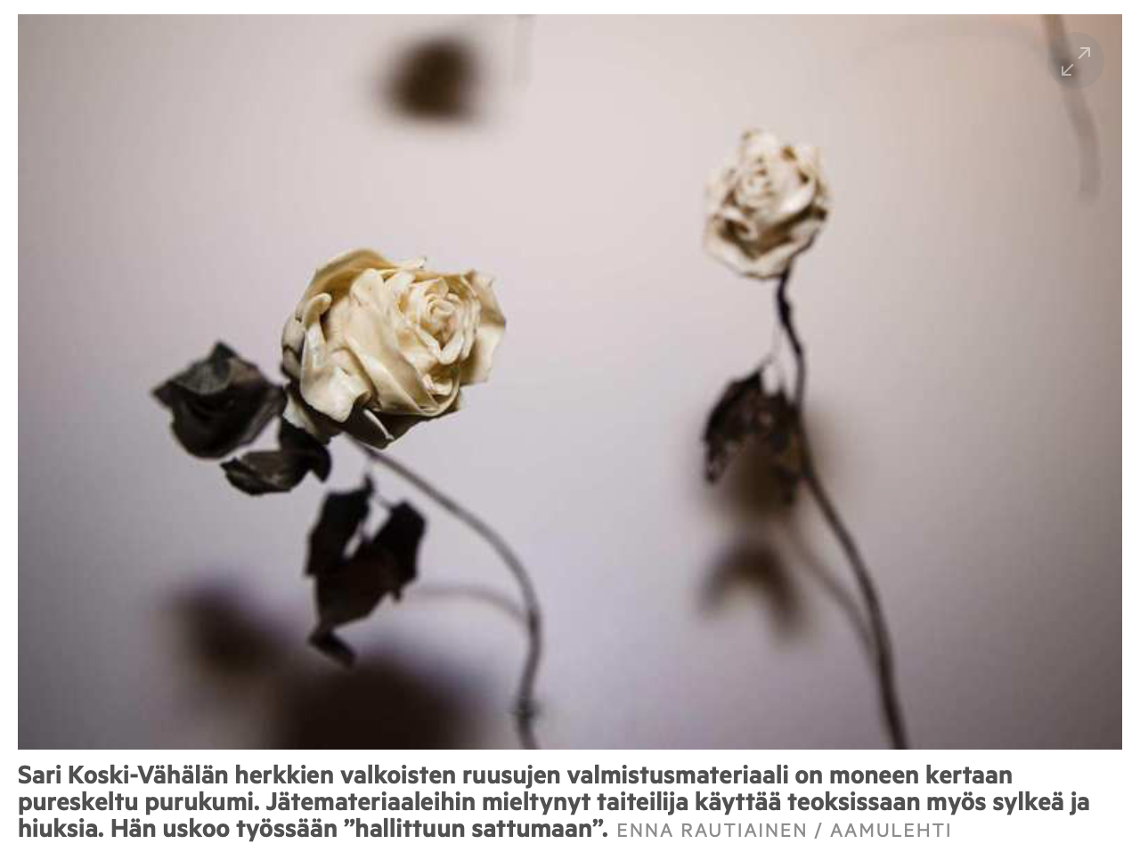 Screenshot 2019-07-08 at 13.24.47.png
