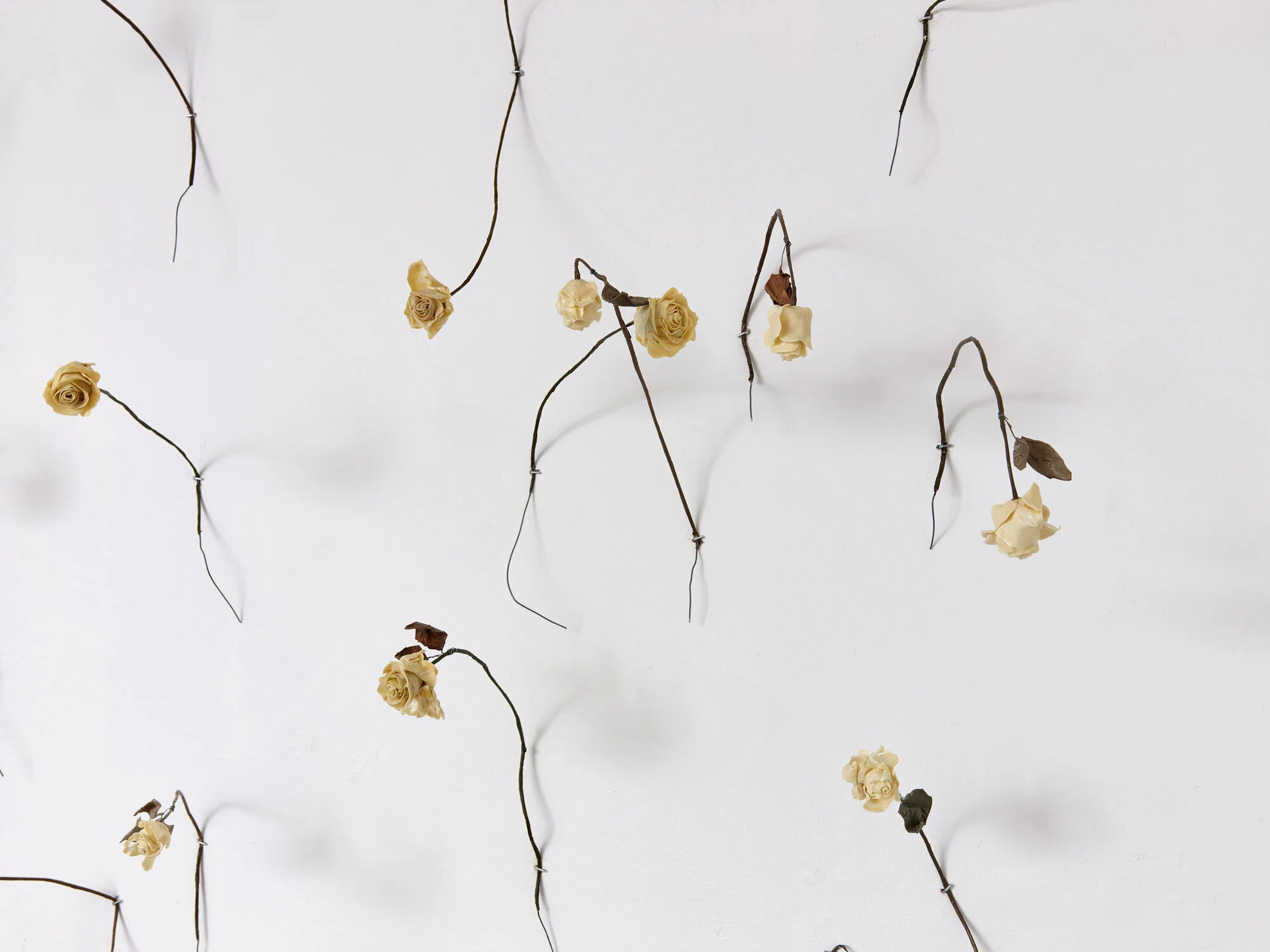 Photo | Kuva Anders Sune Berg