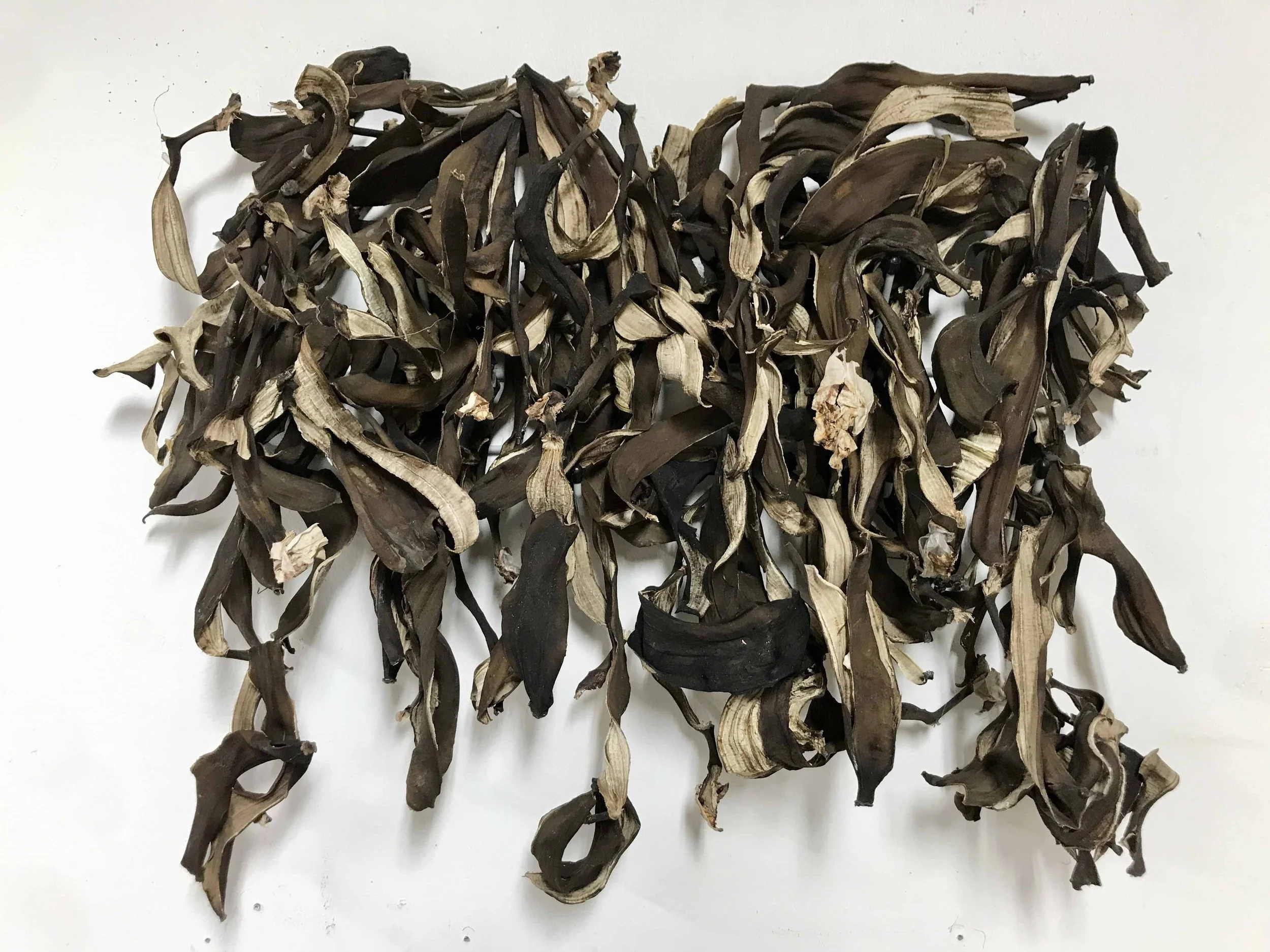 IMG_2206 4 pieni.jpg