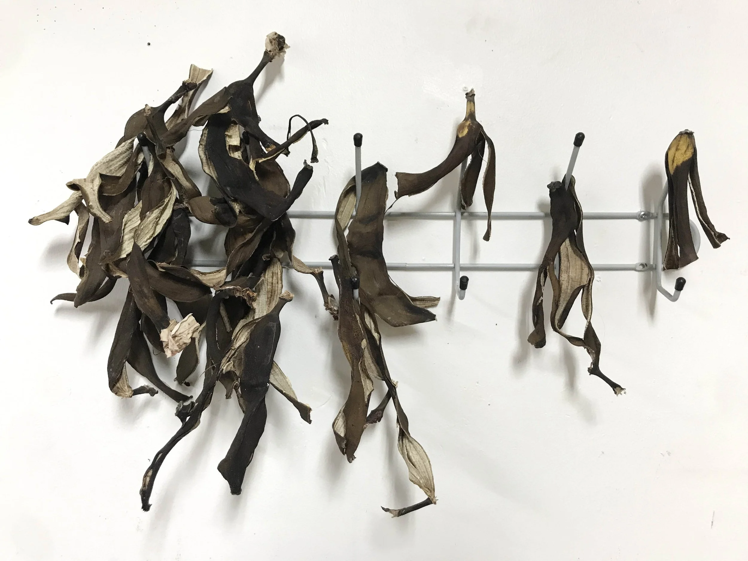 IMG_2178 2 pieni.jpg