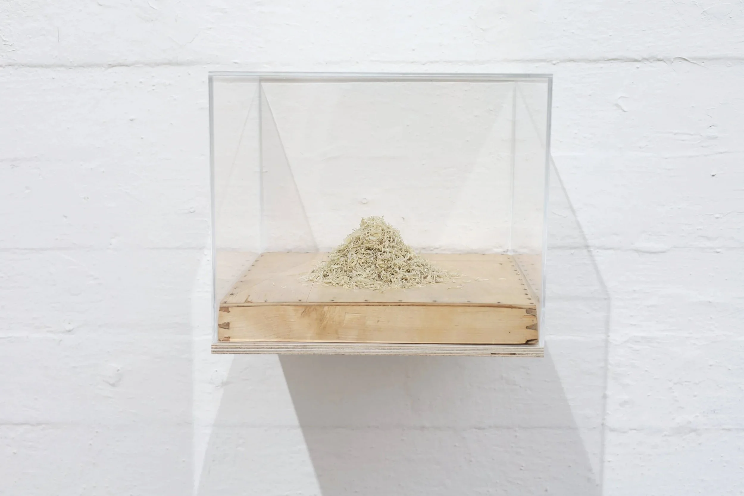  Photo from the exhibition Handprint at Forum Box 2025. Size 25 × 29 × 29 cm. | Kuva näyttelystä Kädenjälki Forum Boxissa Helsingissä 2025. Koko  25 × 29 × 29 cm. 