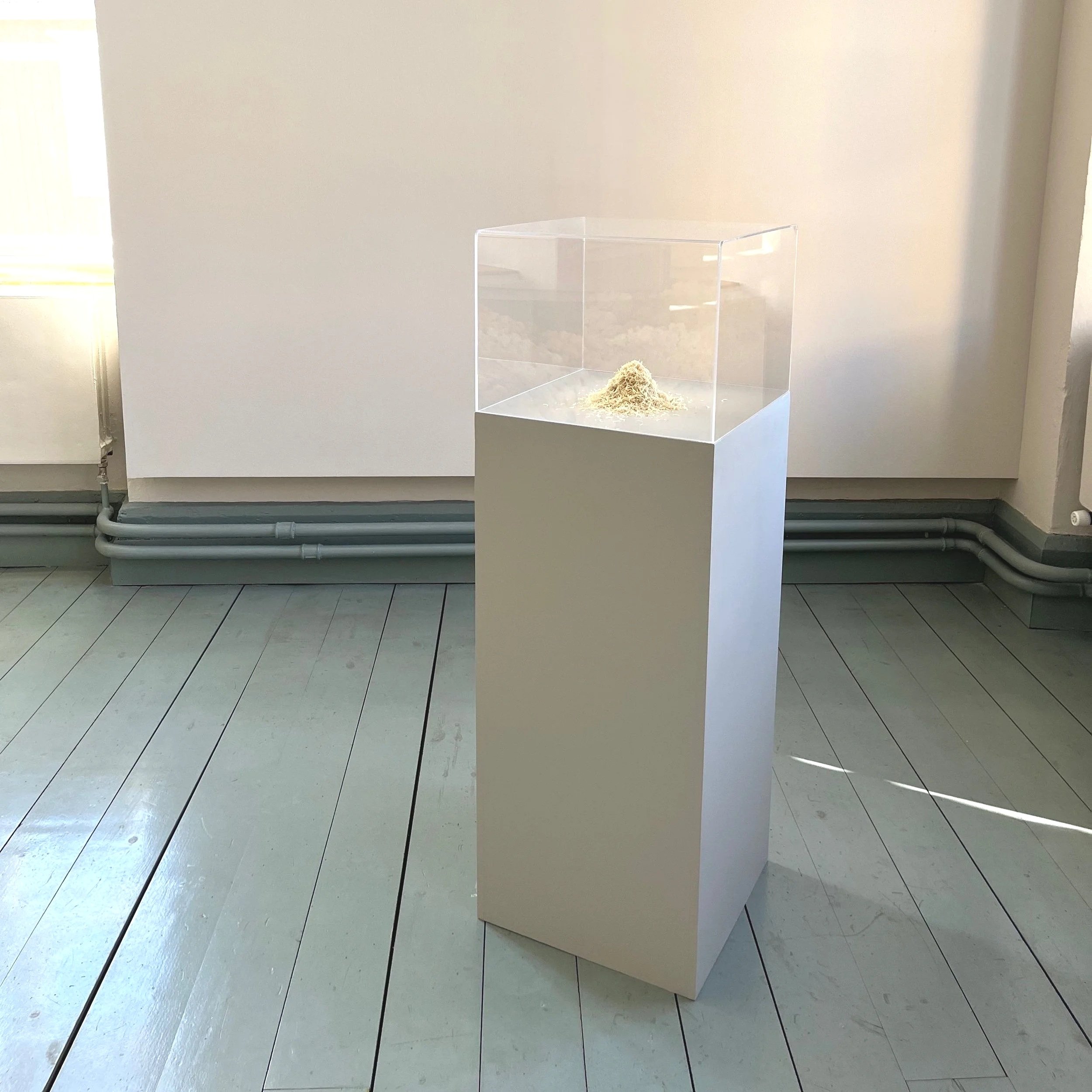  Photo from the exhibition Domestic Notes at K.H.Renlund´s museum Exhibition Hall 2023. Size of the installation 80 × 35 × 35 cm. Amount of the nail clippings approximately 2 dl | Kuva näyttelystä Arjen merkintöjä K.H.Renlundin museon Näyttelyhallill