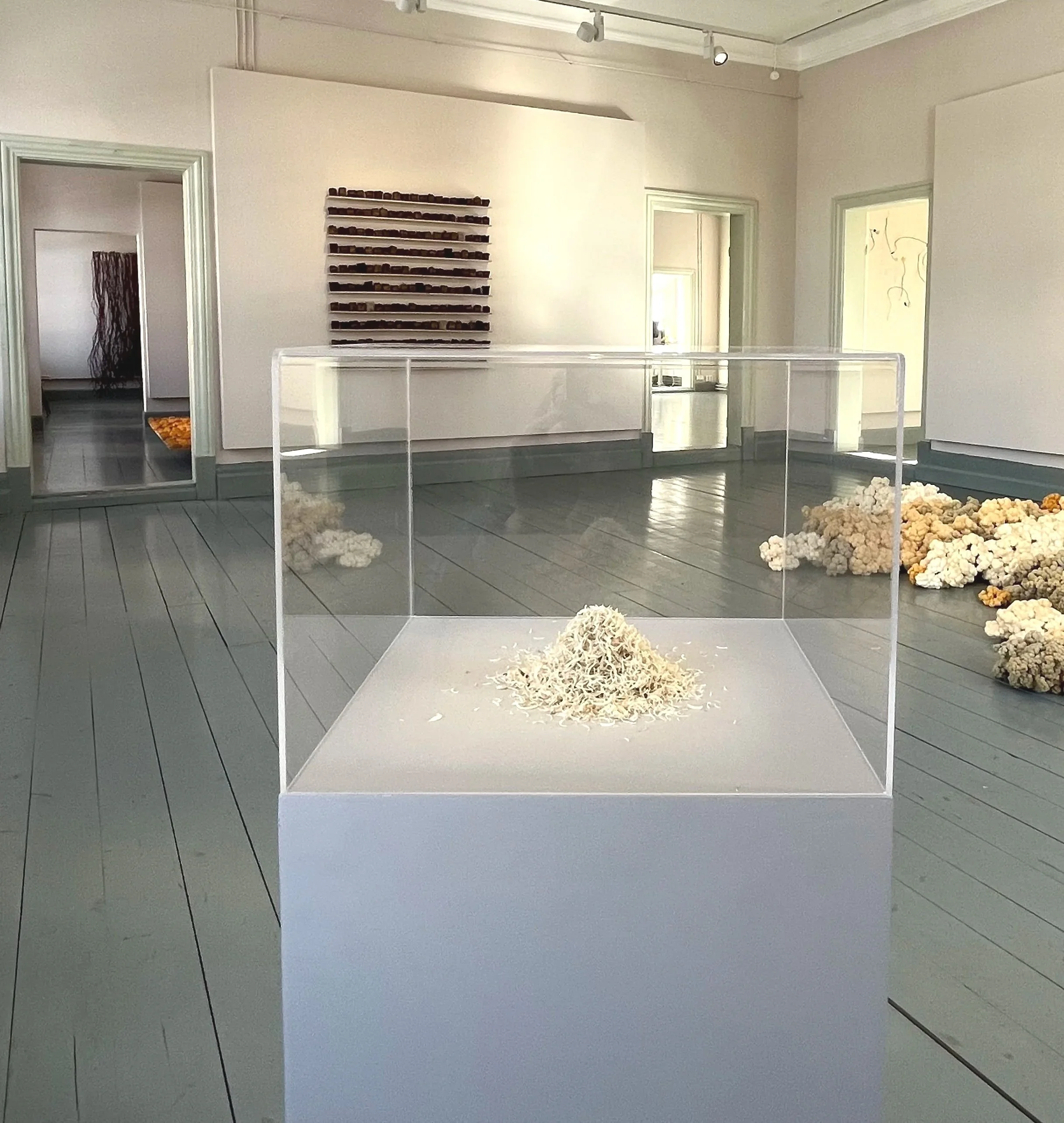  View of the exhibition Domestic Notes at K.H.Renlund´s museum Exhibition Hall 2023. Size of the installation 80 × 35 × 35 cm. | Näkymä näyttelystä Arjen merkintöjä K.H.Renlundin museon Näyttelyhallilla 2023. Jalustan ja vitriinin koko 80 × 35 × 35 c