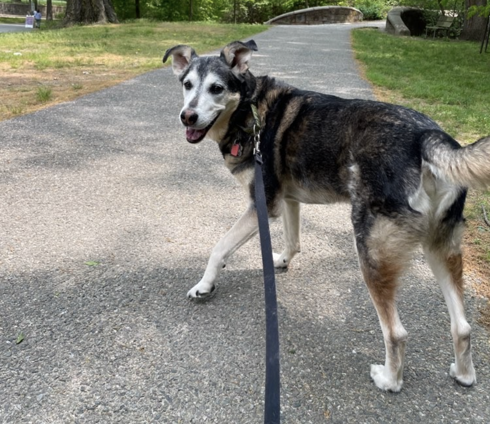 Screen Shot 2023-05-15 at 2.51.29 PM.png