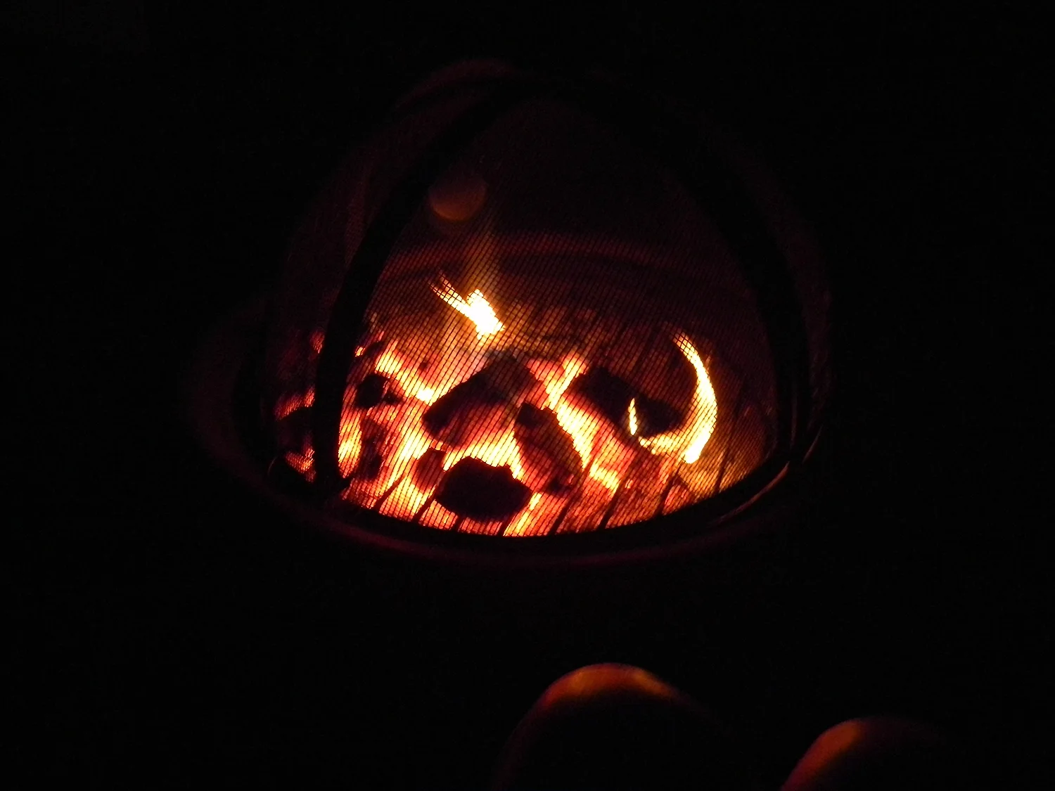 One of our many back yard bonfires with dear friends who are willing to look into the flames along side us.