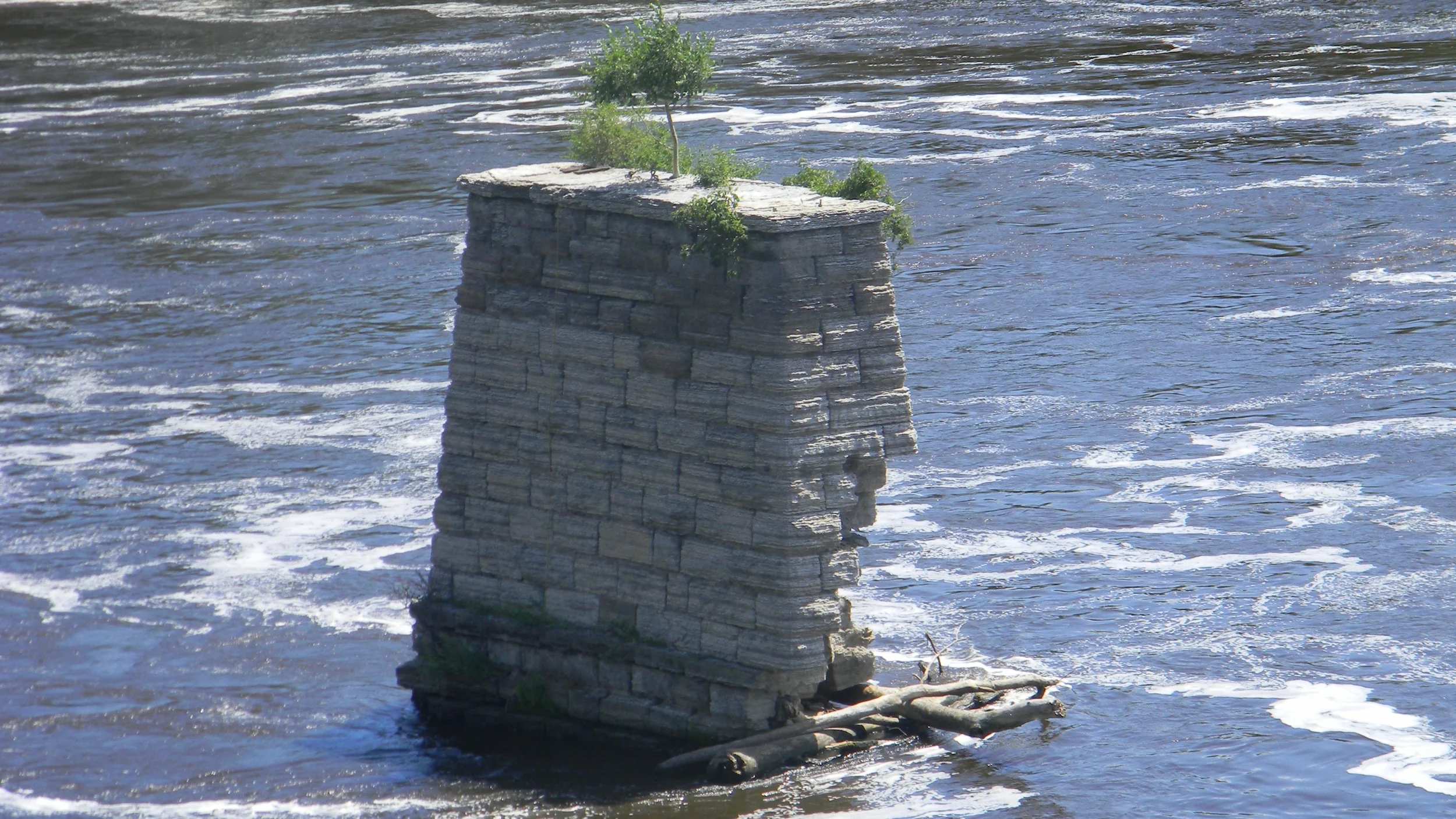 DSCN1945.jpg