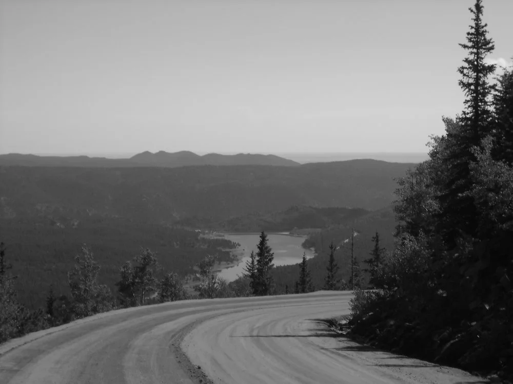 Identifying Trauma Symptoms