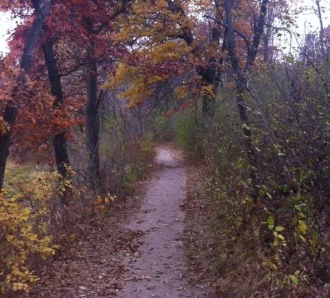 Complex and Acute Trauma: Understanding a Spiritual and Neurological Approach