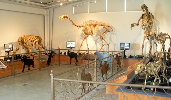 Fossil Discovery Center of Madera County — Merced County Events