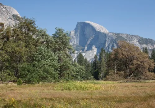 yosemite meadows