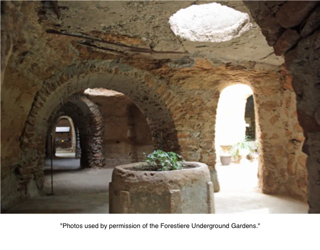 Forestiere 1 1