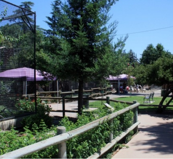 Merced's Central Park: Applegate Park, Zoo & Kiddieland Merced — Merced ...