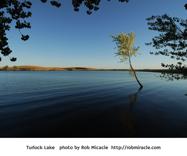 Turlock Lake Photo from