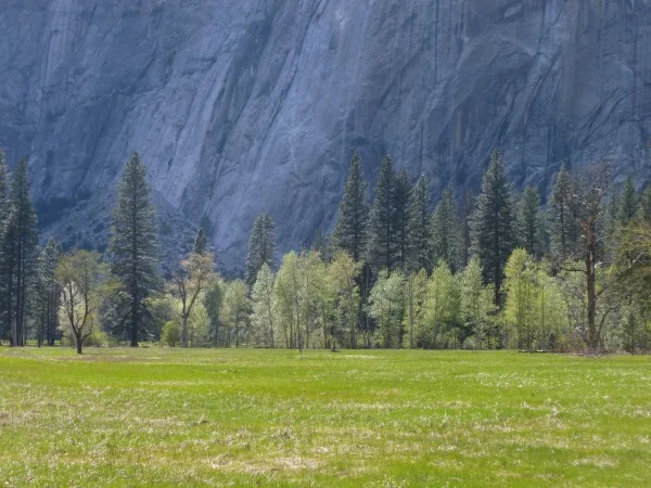 Yosemite valley