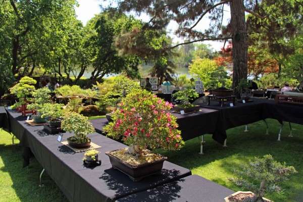 Shinzen Japanese Garden Merced County Events