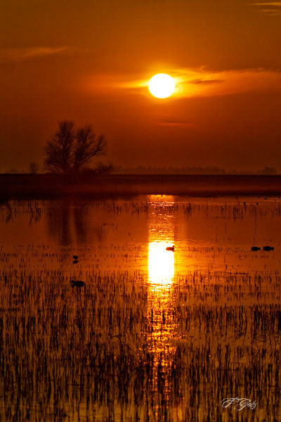 Photo by F. Golz