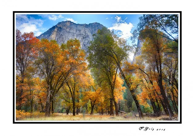 Photo by Fred Golz