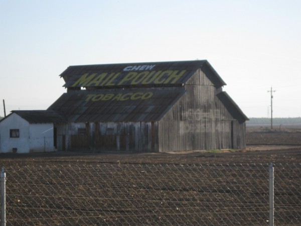 Mail Pouch Barn, South Merced, Photo from Newvine Personal Collection