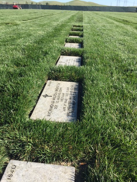 San Joaquin Valley National Cemetery, Santa Nella, CA. Photo by Steve Newvine