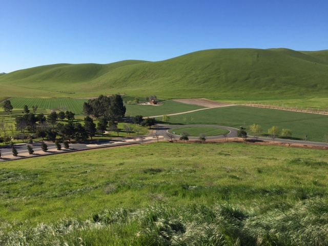 From the Observation point at the San Joaquin Valley National Cemetery. Photo: Steve Newvine