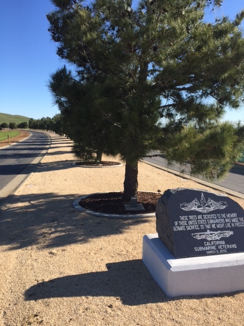 A memorial to sixty-five submarines lost in battle by the US during World War II. The trees line the road median coming into the San Joaquin Valley National Cemetery. Picture: Steve Newvine