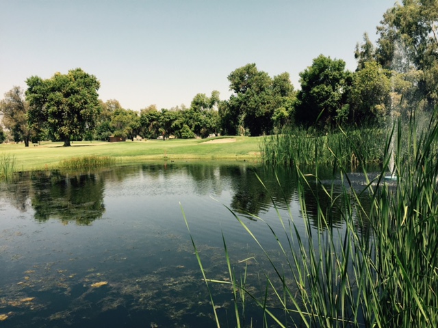 Picture from the Newvine Personal Collection