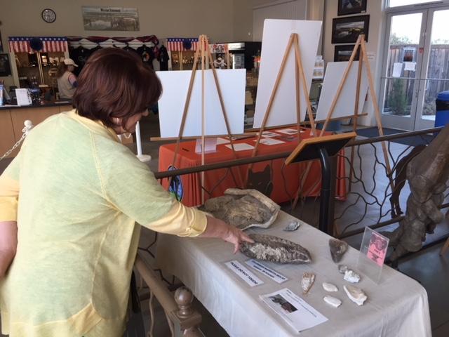 Executive Director Michele Picina looks at some of the exhibits at the Fossil Discovery Center. Photo: Steve Newvine