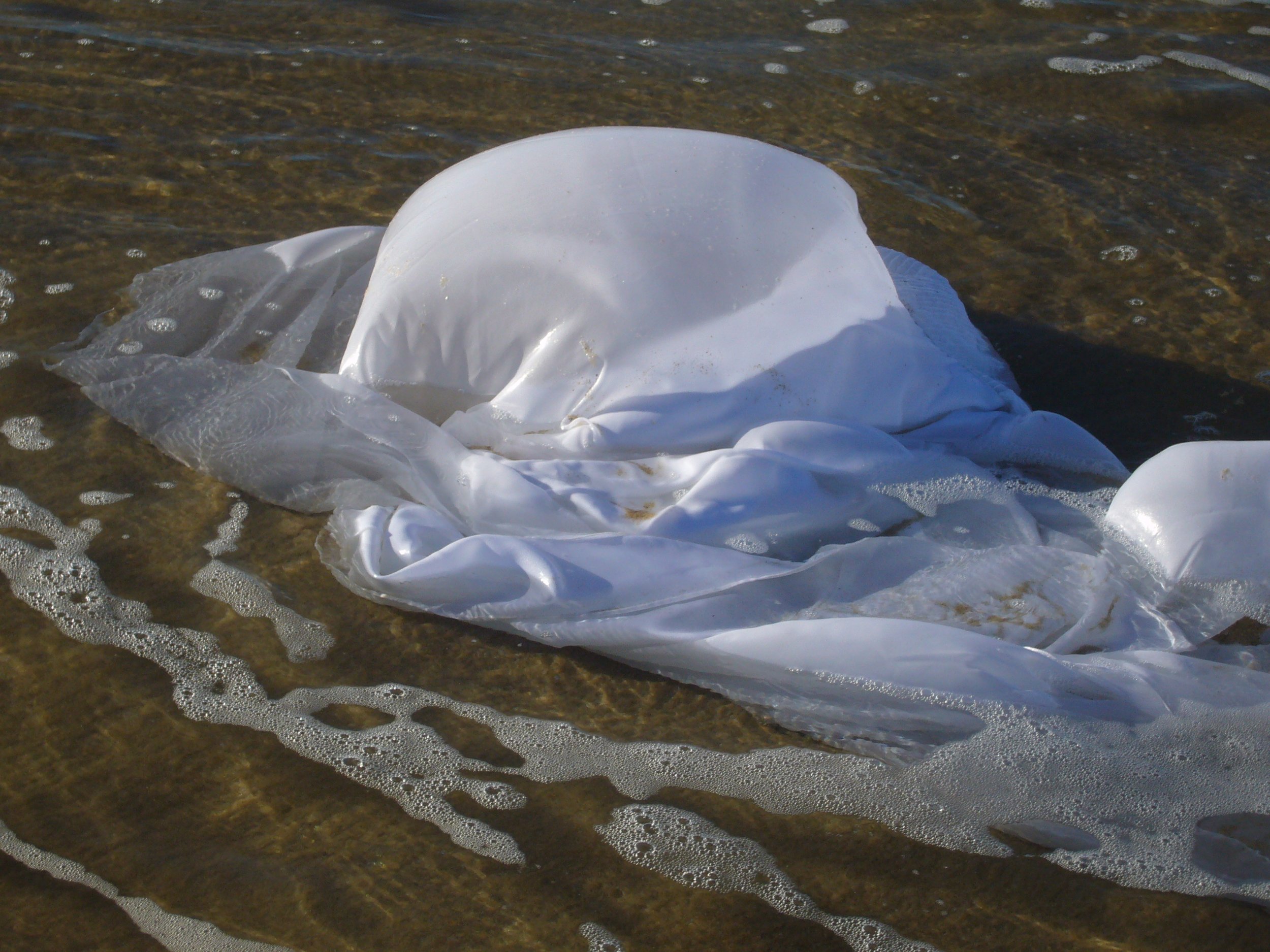 A Thresholds that Breaths_2.jpeg