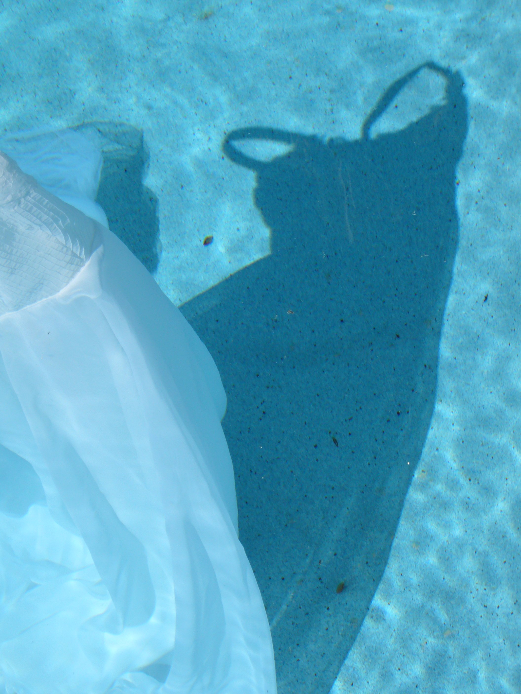 Reflections on the Long In- Between_6.jpeg