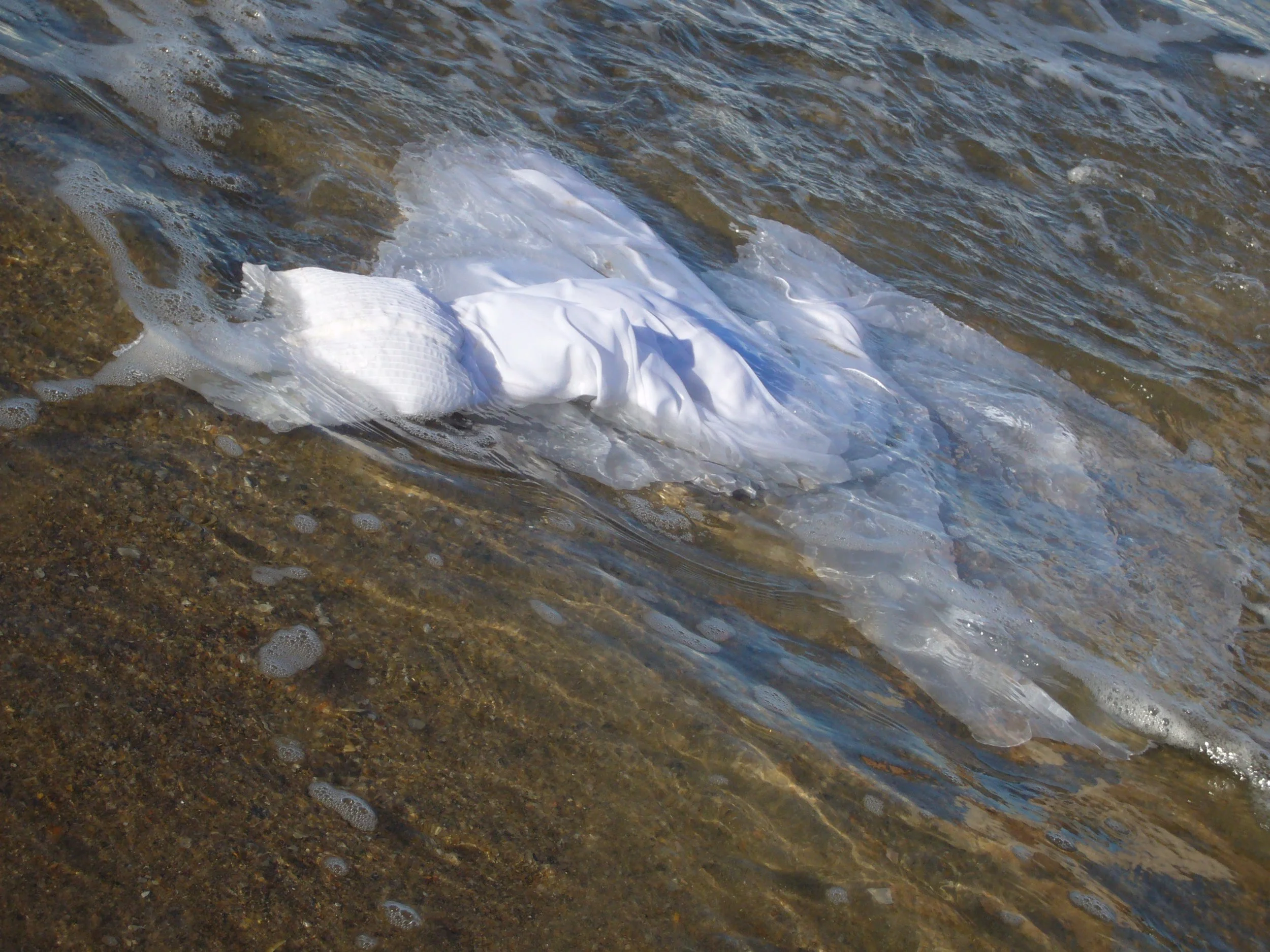 A Thresholds that Breaths_4.jpeg