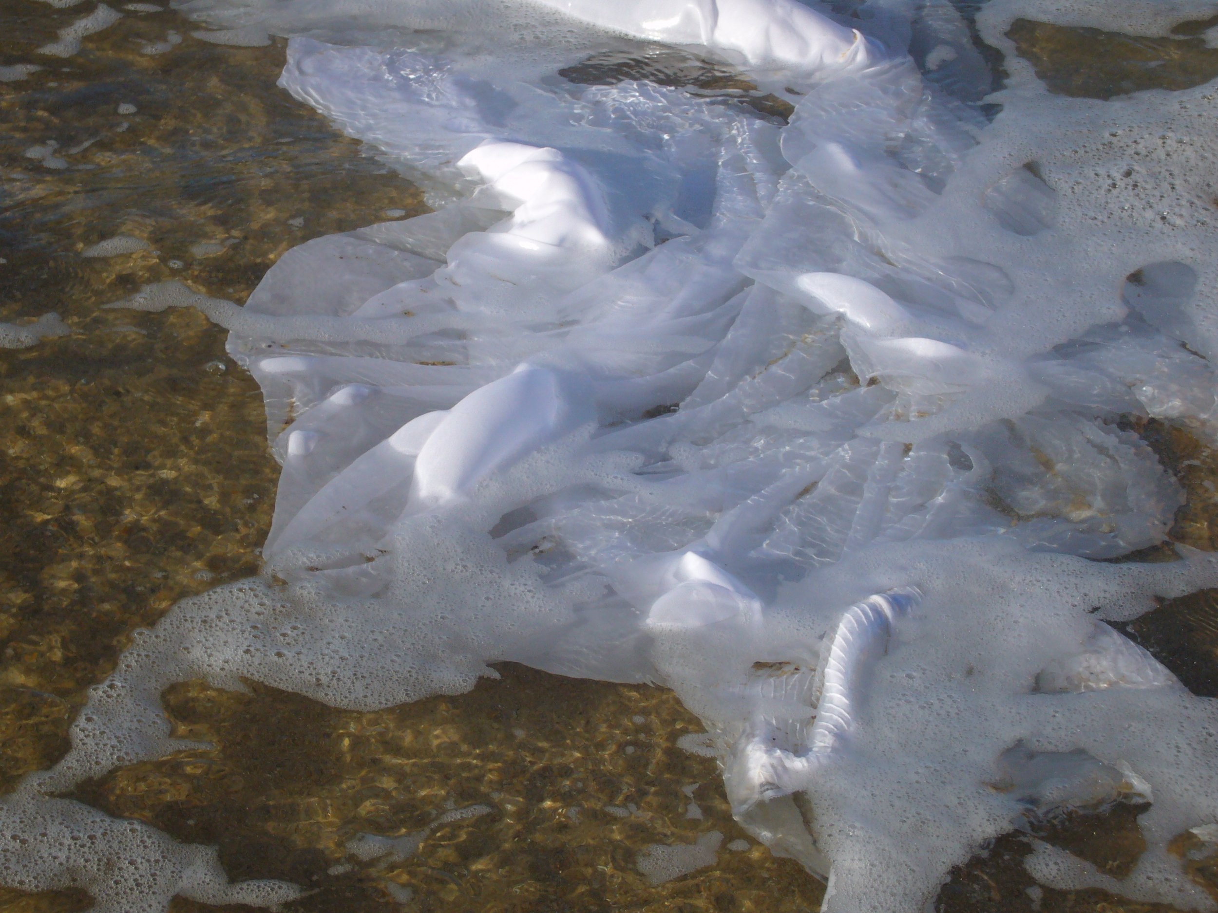 A Thresholds that Breaths_5.jpeg