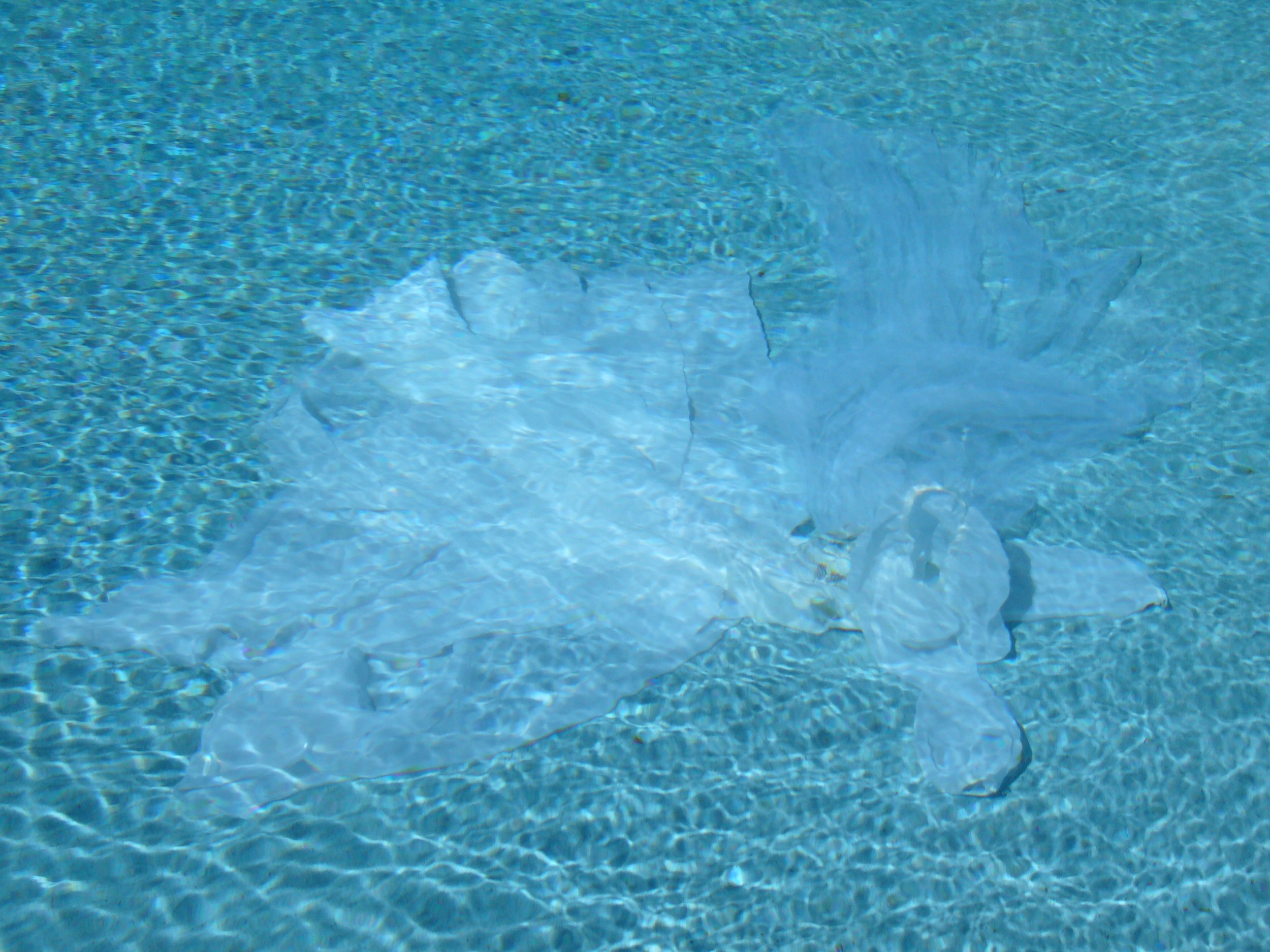 Reflections on the Long In- Between_1.jpeg