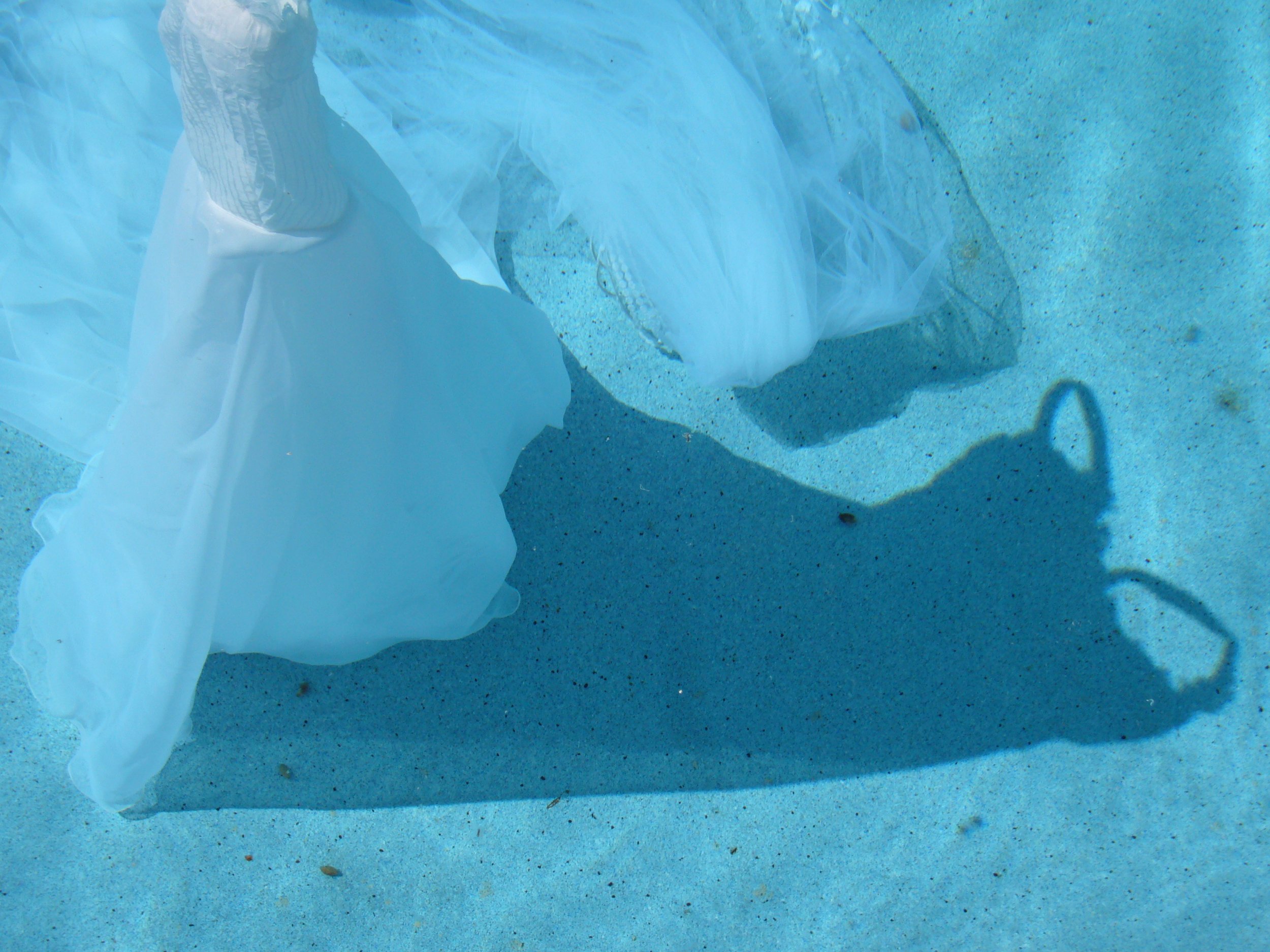 Reflections on the Long In- Between_5.jpeg