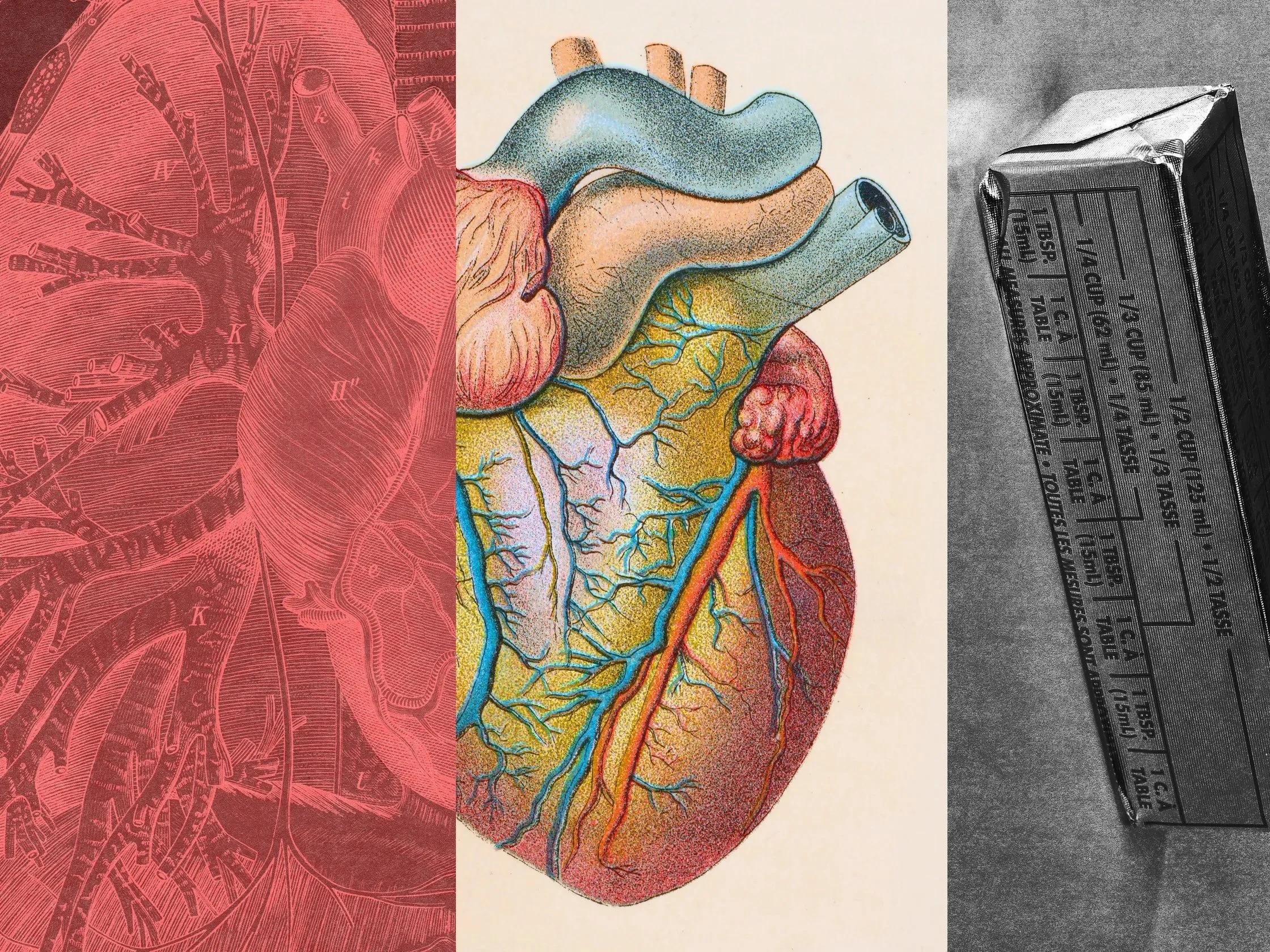   What Is LDL Cholesterol and How Do You Lower It? — GQ  